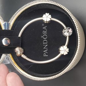 Pandora Bracelet